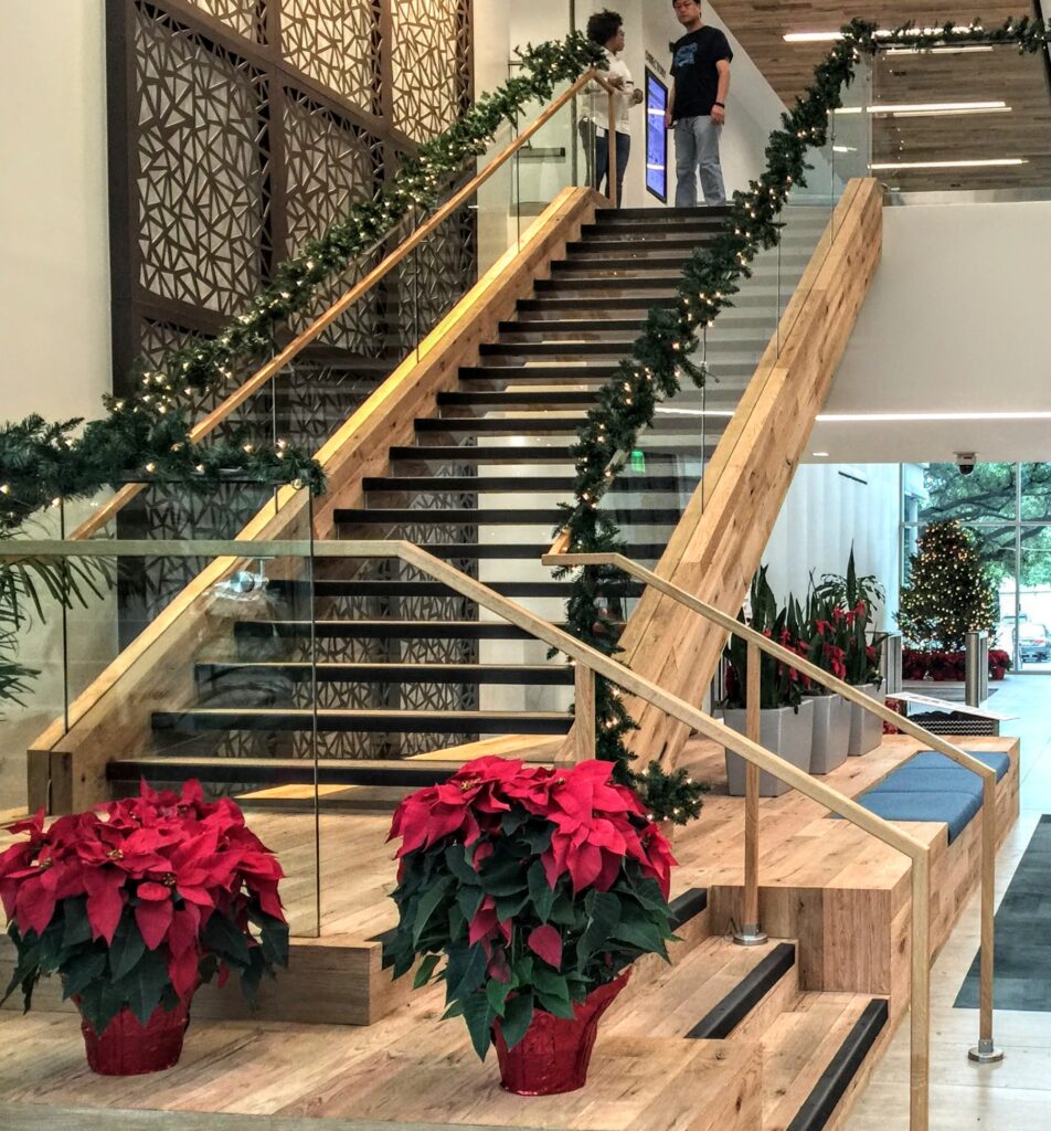 indoor plants